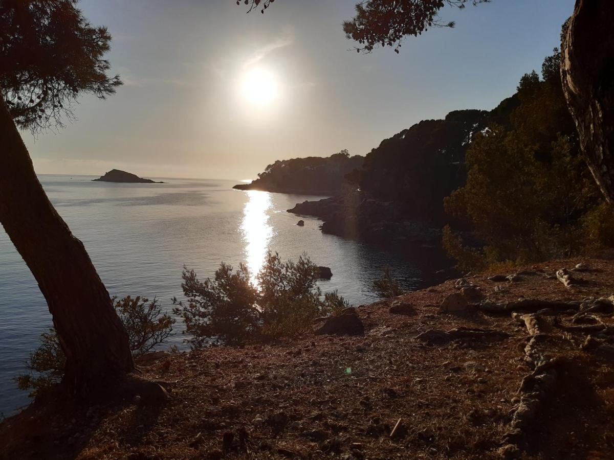 Chez Pierrot 2 Villa Bandol Bagian luar foto